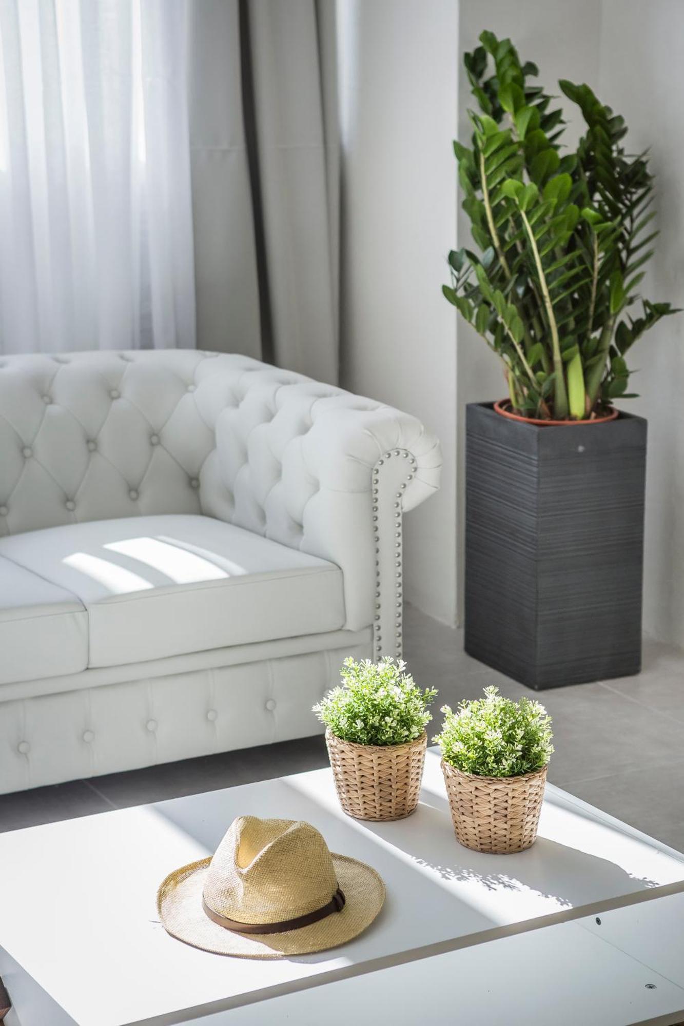 Suites Minetos Vlachata Phòng bức ảnh